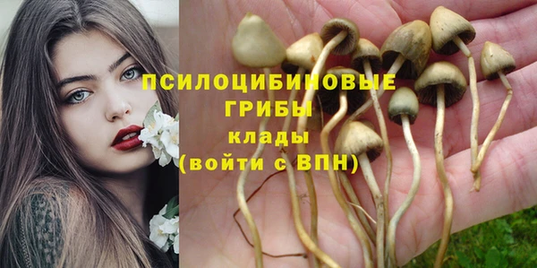 круглые Алексин