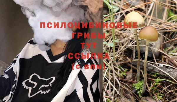 круглые Алексин